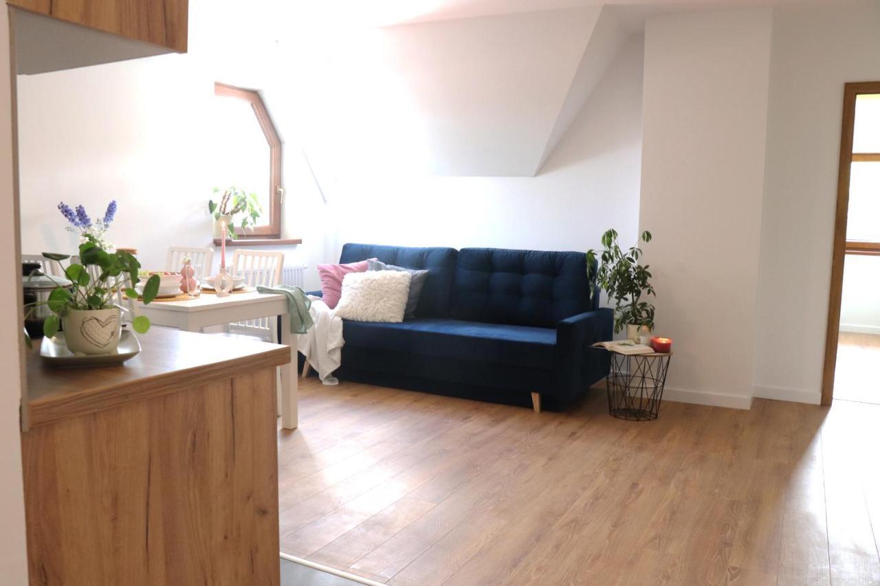 Apartamenty Pardalowka 50 Zakopane Luaran gambar