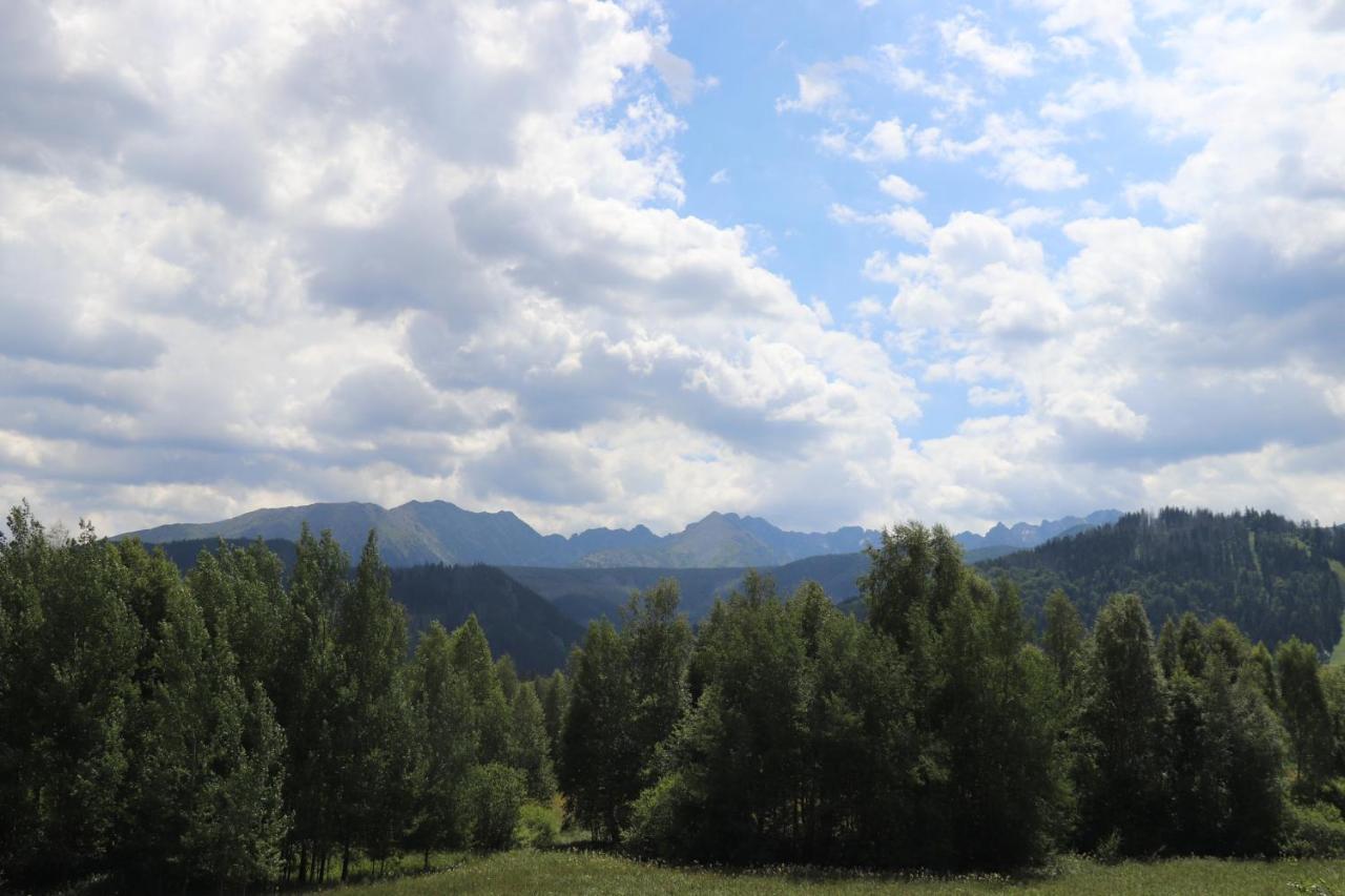Apartamenty Pardalowka 50 Zakopane Luaran gambar